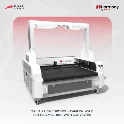 2 HEAD ASYNCHRONOUS CAMERA LASER CUTTING MACHINE WITH CONVEYOR