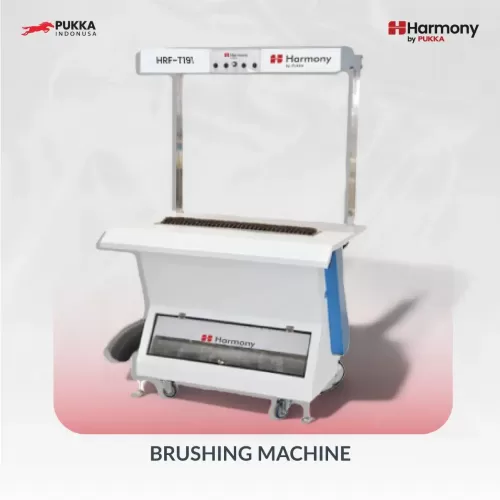 BRUSHING MACHINE